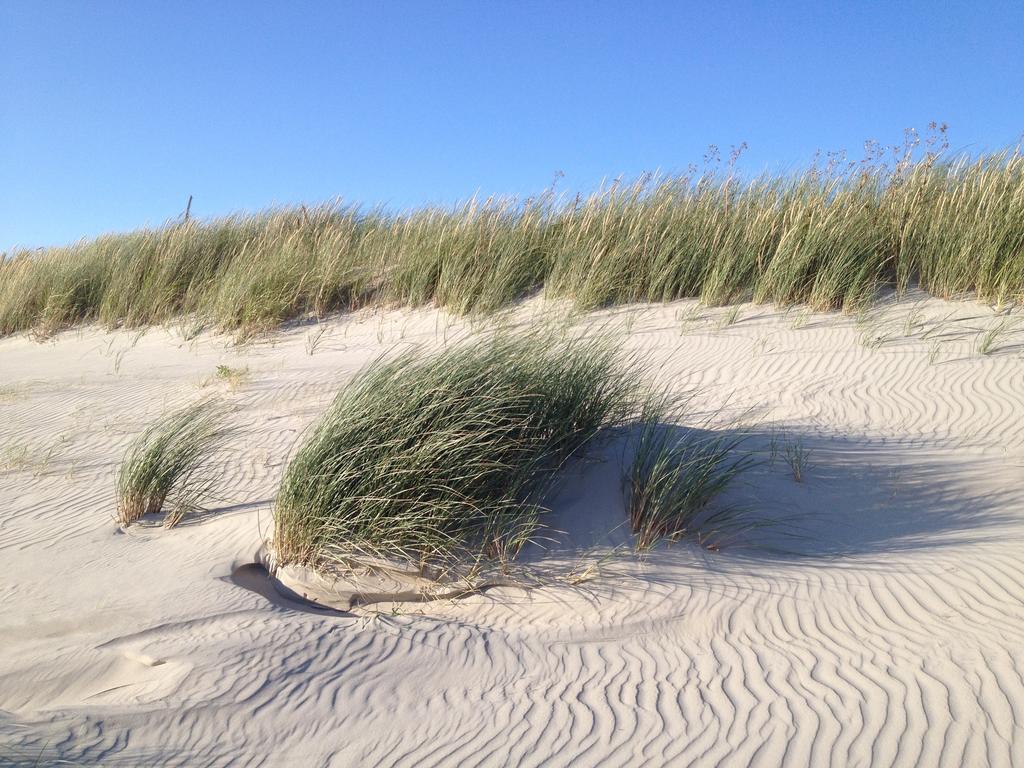 Hotel Twilling Sankt Peter-Ording Kültér fotó