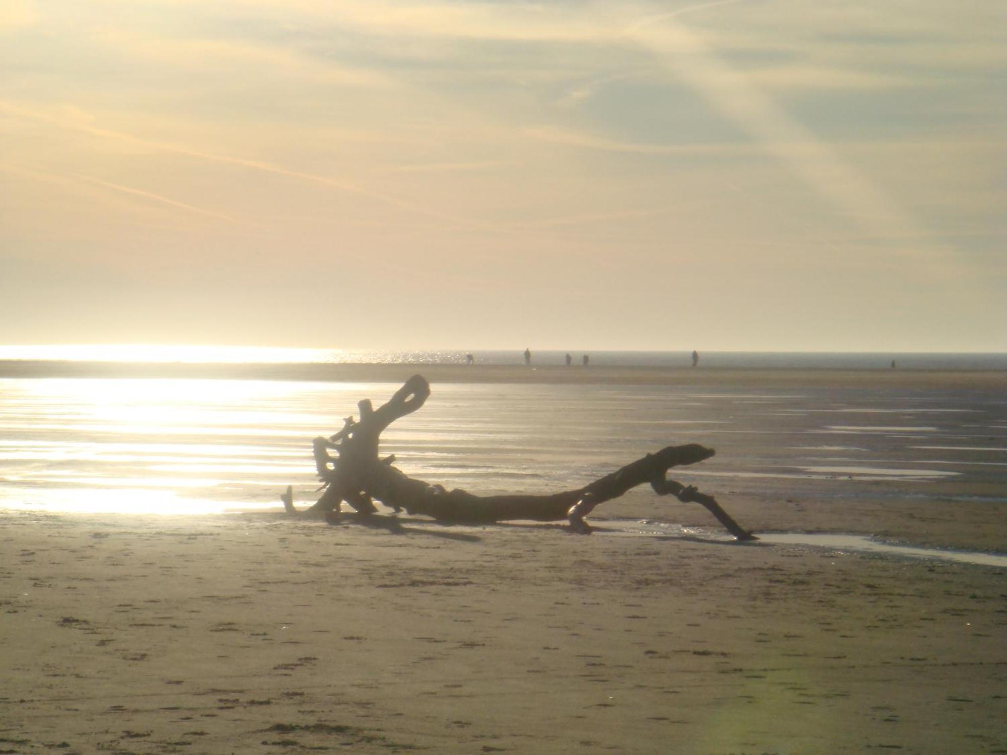 Hotel Twilling Sankt Peter-Ording Kültér fotó